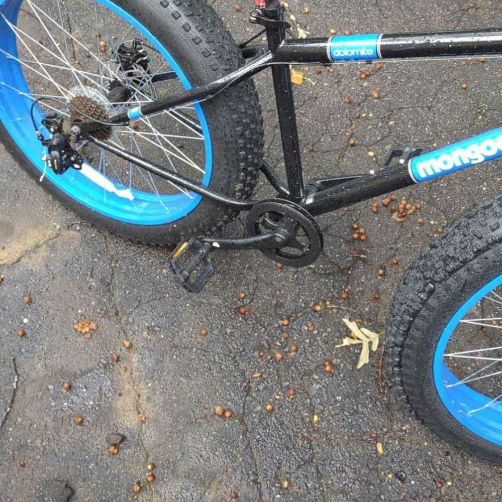 Mongoose dolomite